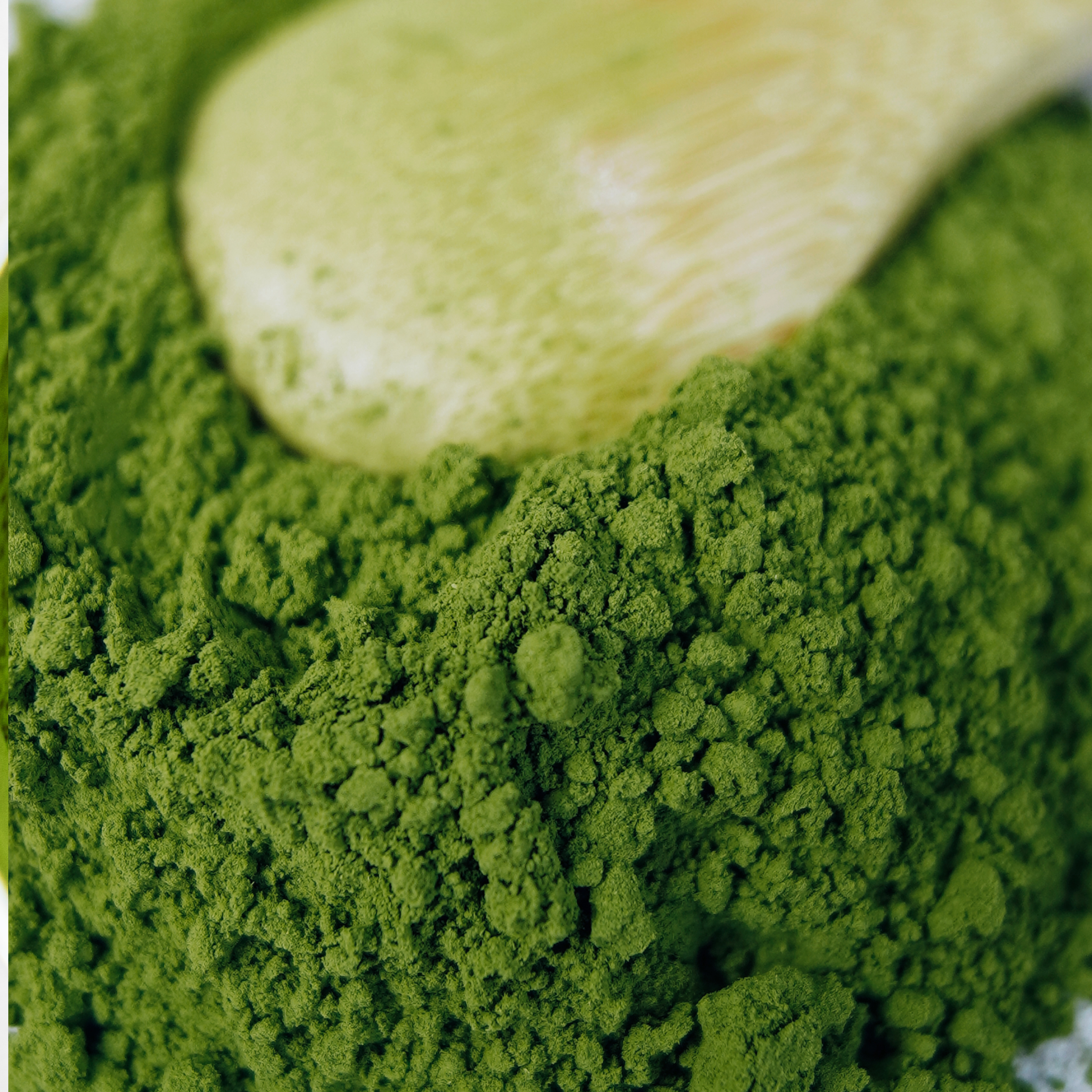 Japanese Organic Matcha | Tsuyuhikari