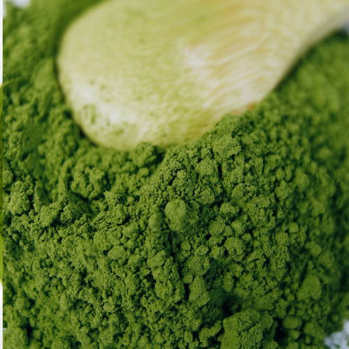 Japanese Organic Matcha | Tsuyuhikari