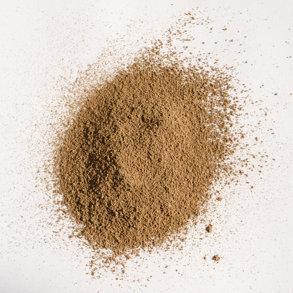 Japanese Organic Hōjicha | Saemidori