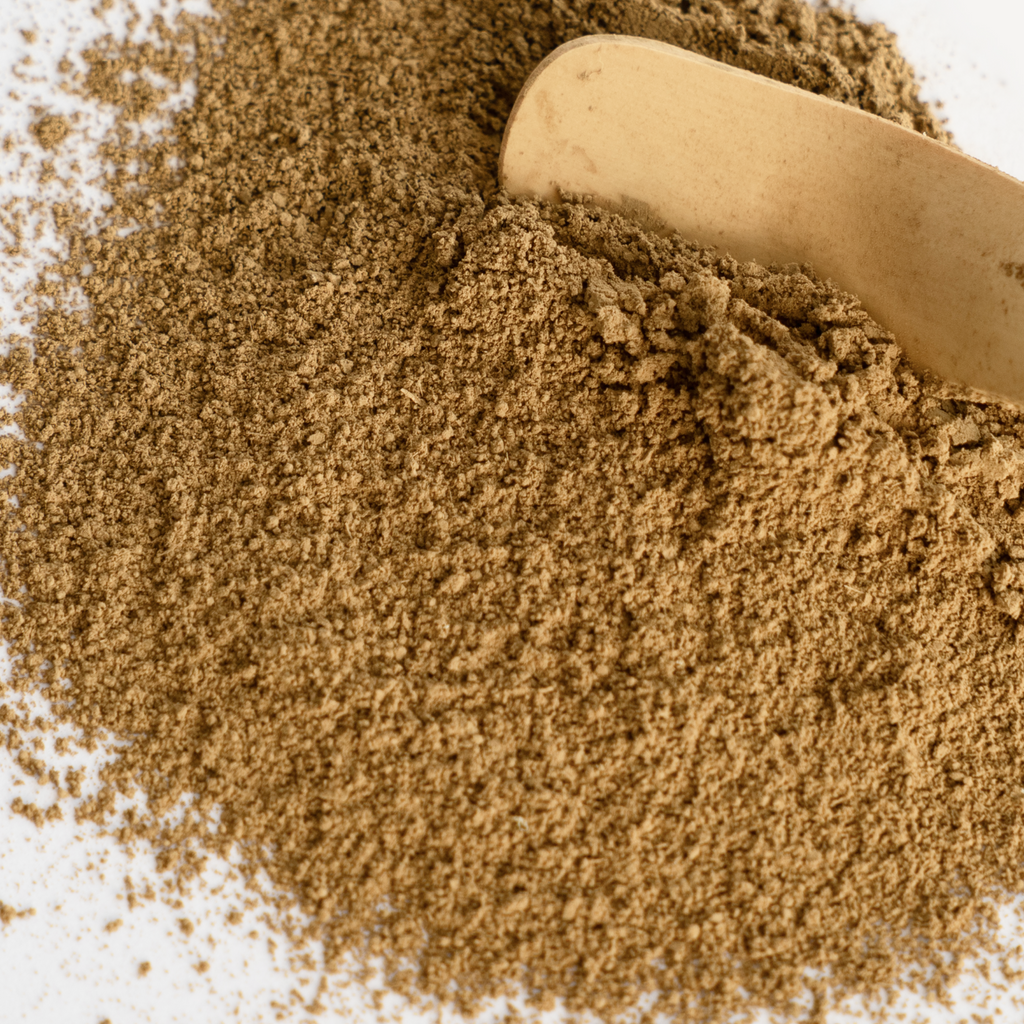 Japanese Organic Hōjicha | Saemidori