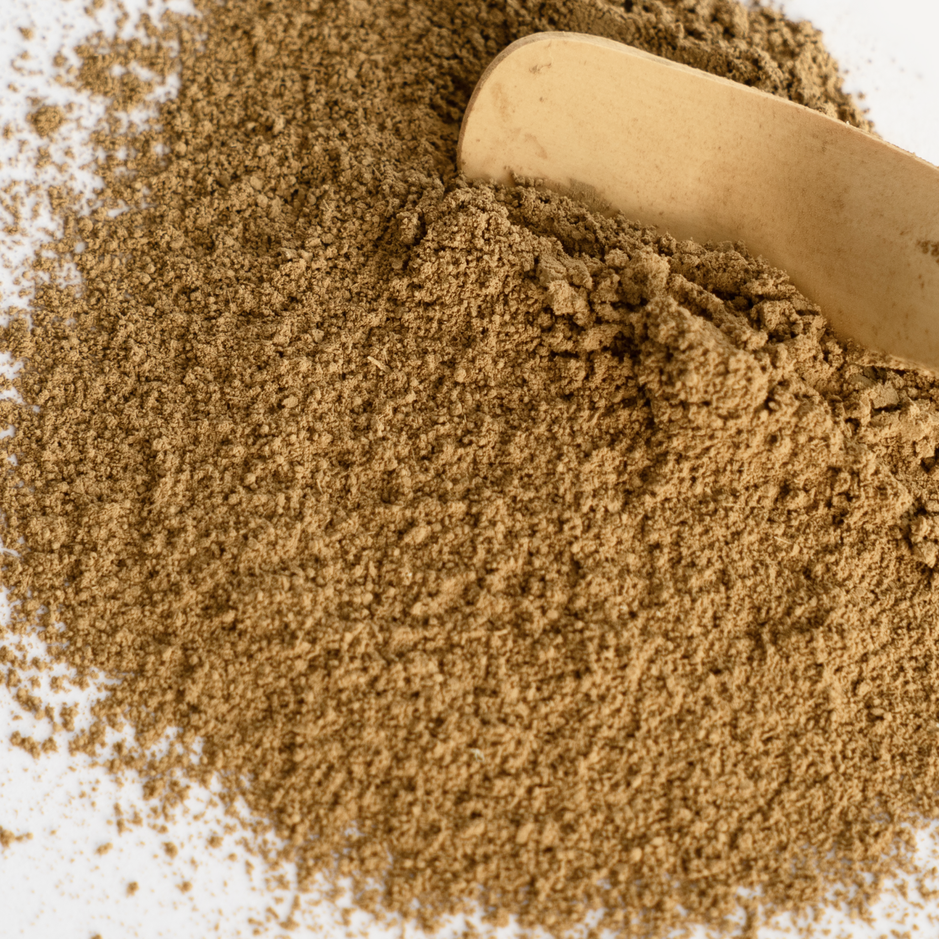 Japanese Organic Hōjicha | Saemidori