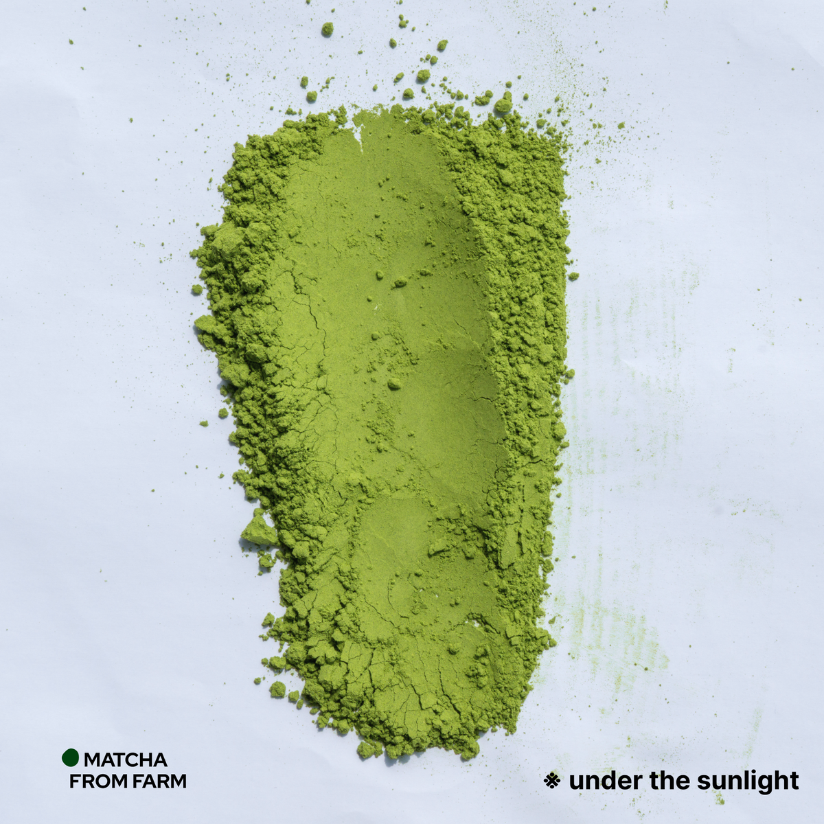 Bulk Japanese Matcha | Kirari