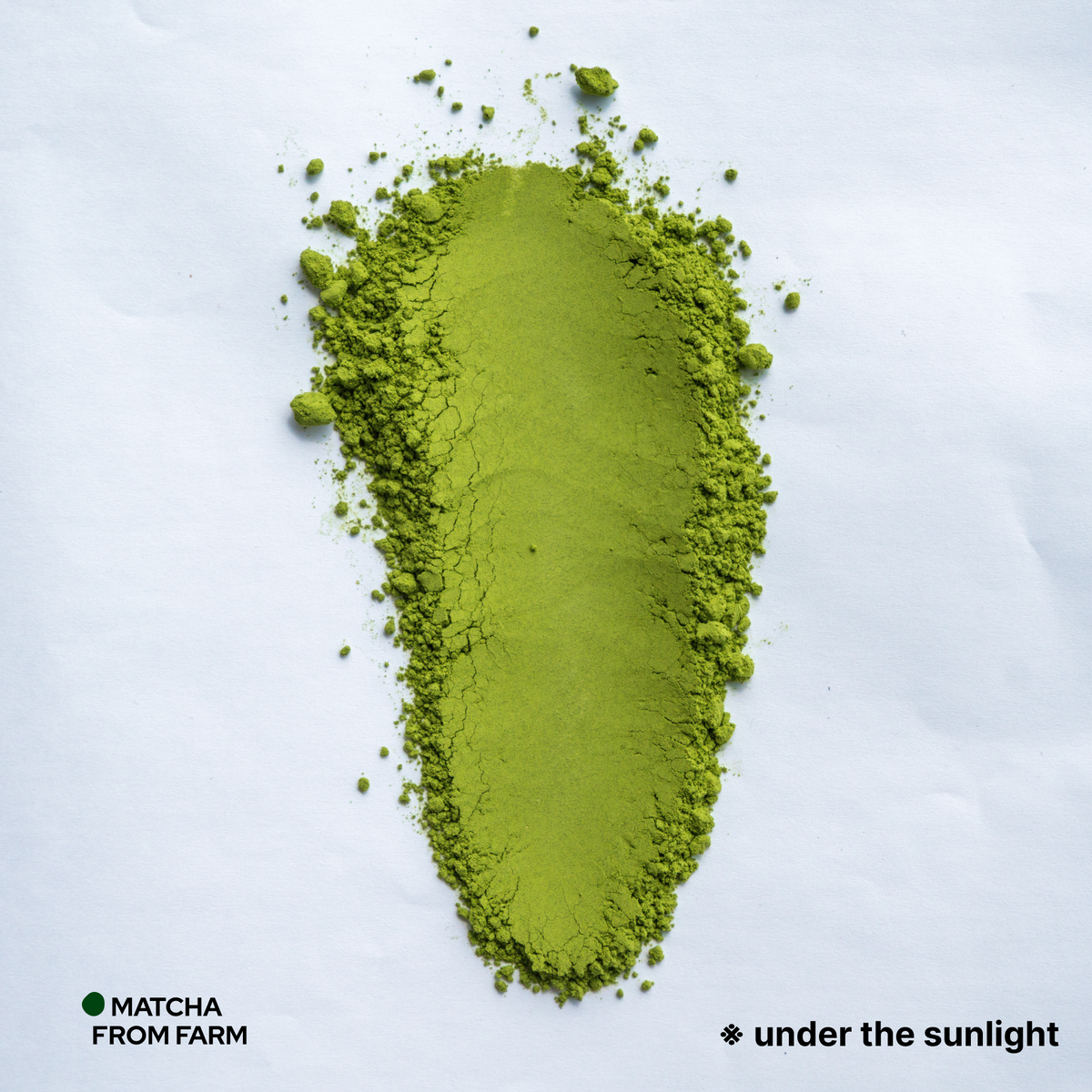 Bulk Japanese Matcha | Saemidori